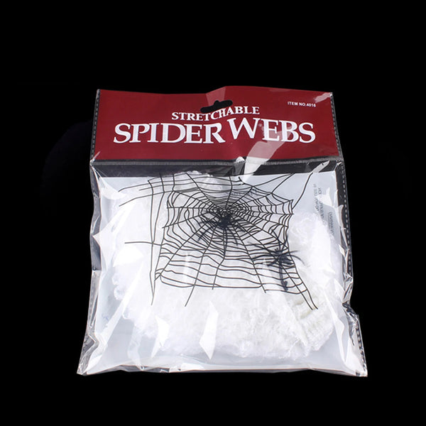 Cobweb Spider