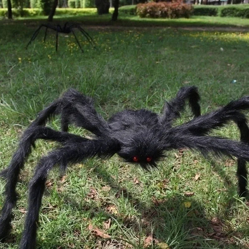 halloween spider