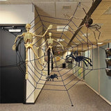 halloween spider