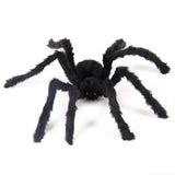 halloween spider