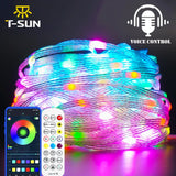 LED String Light